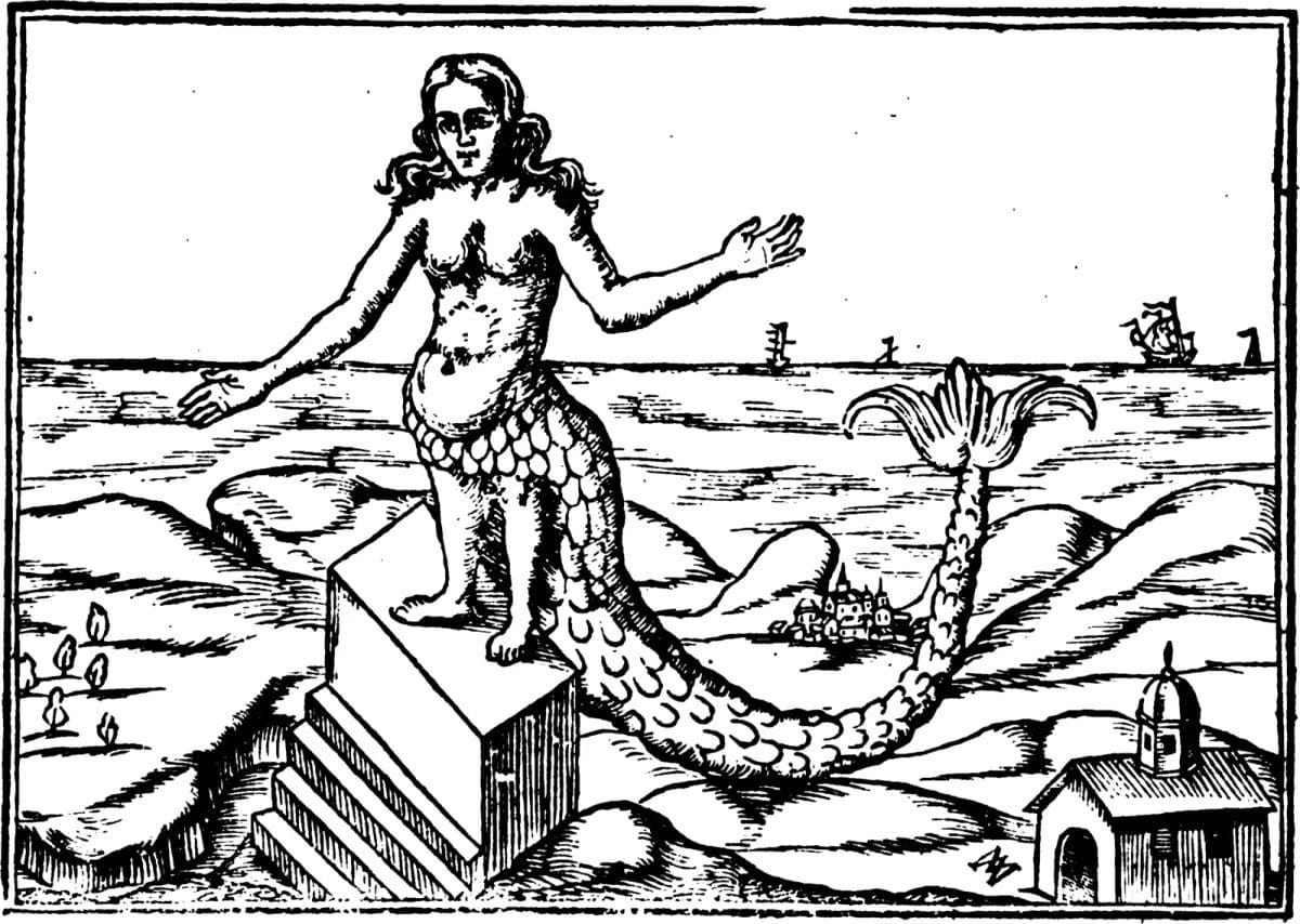 sirene reprezentare