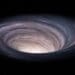 vortex in gaurile negre