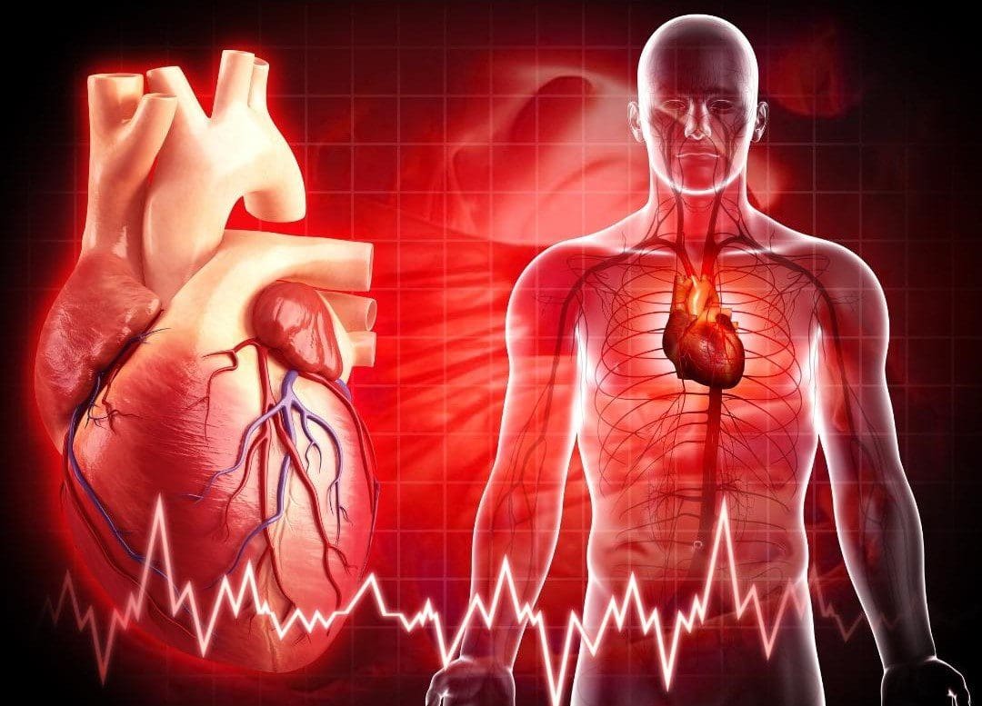oxitocina si leziunile inimii