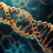 codificare gene